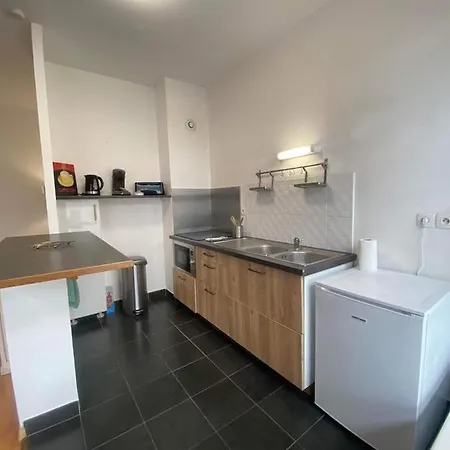 Le Carnot Avec 2 Separes Et Parking Privatif Et Securise אראס